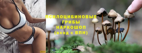 шишки Богданович