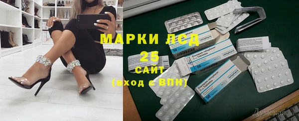 MESCALINE Бородино