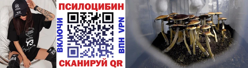 Купить где  Лобня  Галлюциногенные грибы прущие грибы 
