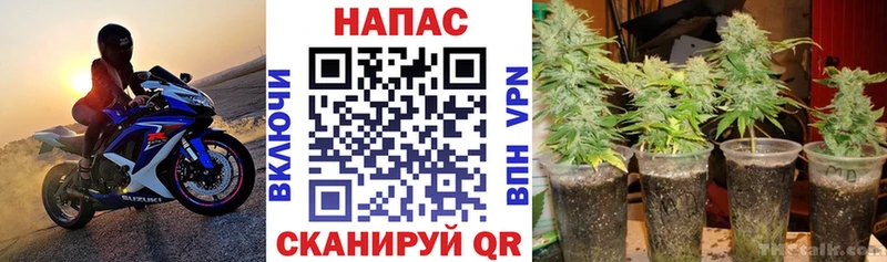 Купить где  Лобня  Бошки марихуана планчик 